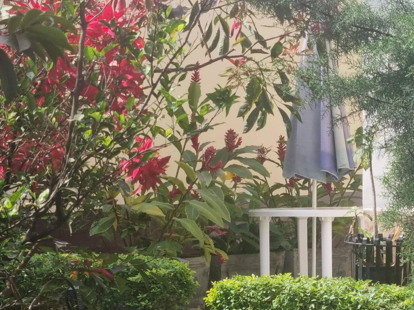 Tout Confort Avec Jardin Entree Bastos Yaoundé Exterior foto