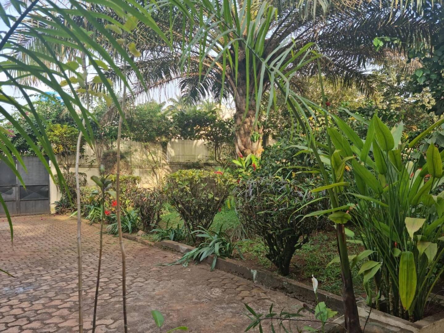 Tout Confort Avec Jardin Entree Bastos Yaoundé Exterior foto